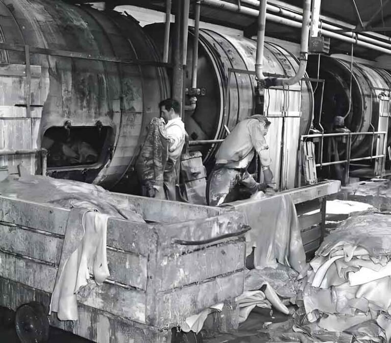 History of Leather: From Prehistory to Modern Sustainability