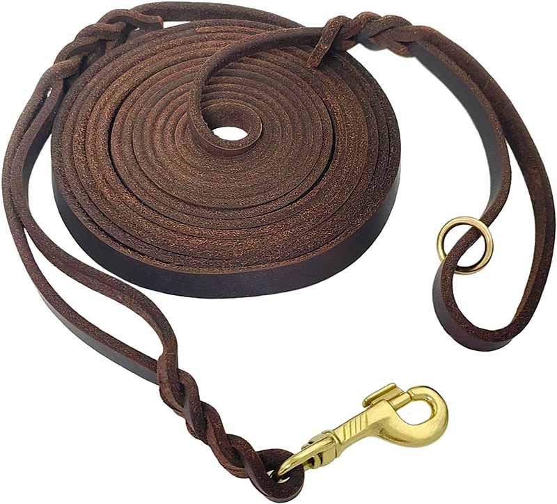20 Best Leather Dog Leashes: Top Styles, Materials & Safety Guide