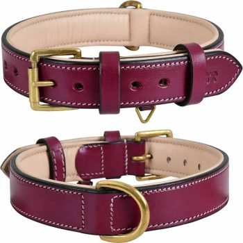 Genuine Leather Dog Collar