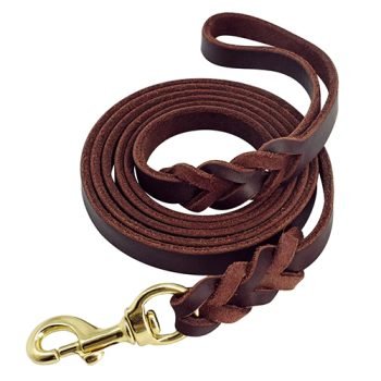 Leather Dog Leashes