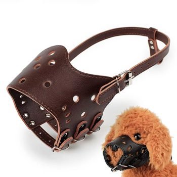 Leather Dog Muzzle