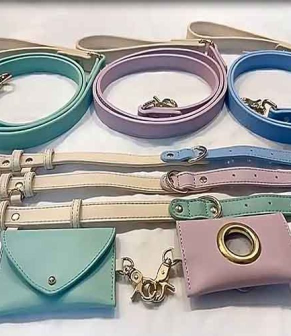 video of leather dog accessories 3